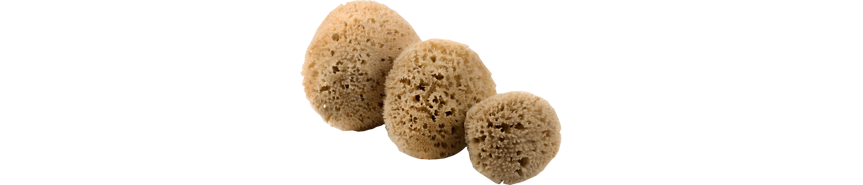 Natural-sponges.gr